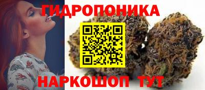 гидра Рыбинск